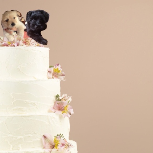 Artist's rendition of Blossom and Freddy's wedding cake.